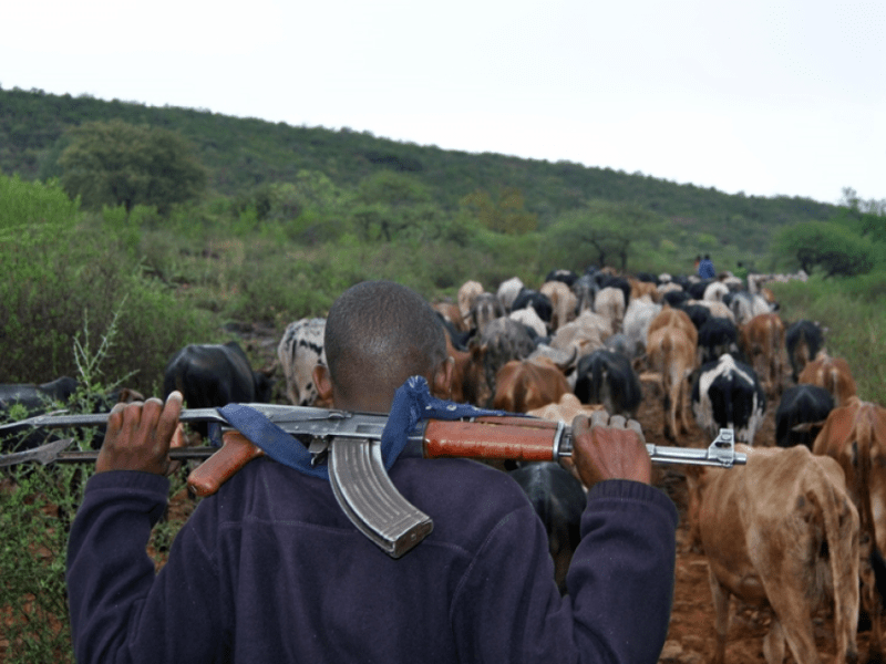 South Sudan NGO Condemns Deadly Cattle Raid in&nbsp;Mogiri
